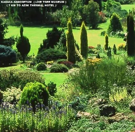 Azim Thermal Hotel 3*